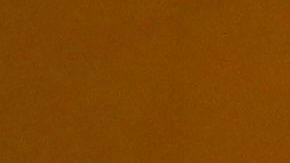 El agente que apretó el gatillo fue despedido el día de los hechos.