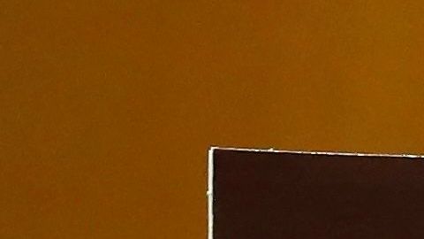 El agente que apretó el gatillo fue despedido el día de los hechos.