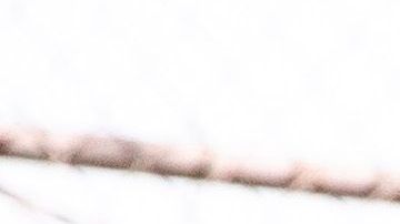 Pruebas de COVID-19 en Dodger Stadium