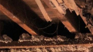 Techo en un 5to piso quemado en El Bronx