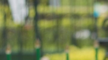 Conoce el significado de soñar con tu funeral.