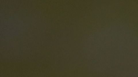 Las autoridades aseguraron que las mordidas de caimán suelen ser habituales en Florida.