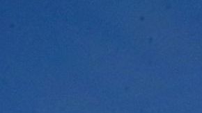 Tyrann Mathieu ama su playera del tricolor.