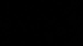 Este año TikTok se ha convertido en la app más descargada en el planeta.