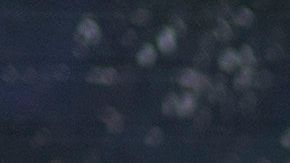 Cientos se acercan a rendir tributo a Kobe Bryant en Los Ángeles.