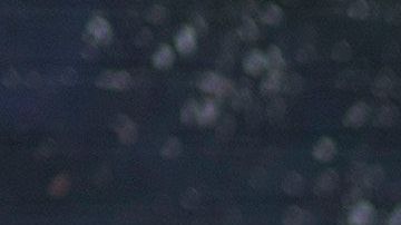 Cientos se acercan a rendir tributo a Kobe Bryant en Los Ángeles.