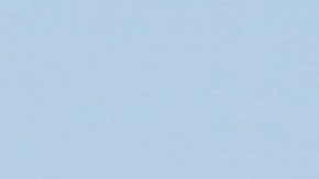 Grupo antimotines de la Patrulla Fronteriza.