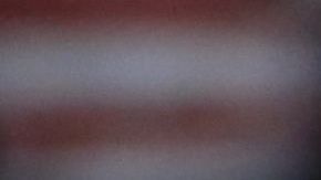 Donald Trump Mitin electoral