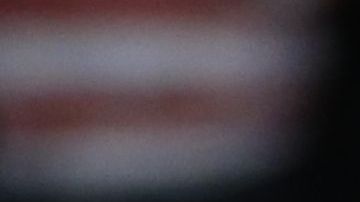 Donald Trump Mitin electoral