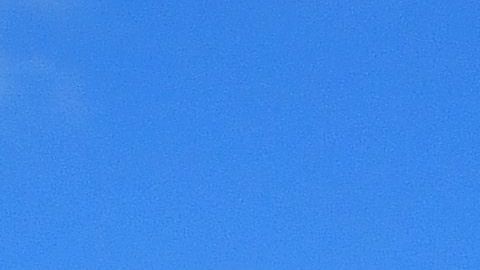 Los Yankees podrán entrenar en Nueva York para la próxima temporada. /Getty Images