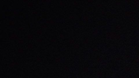 Arnold Schwarzenegger.