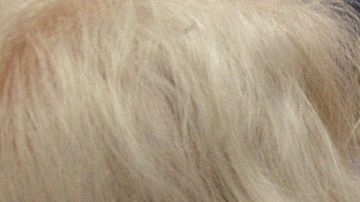 Muchos adultos mayores siguen trabajando pasados los 66 años.