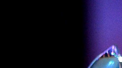 Miguel Bosé