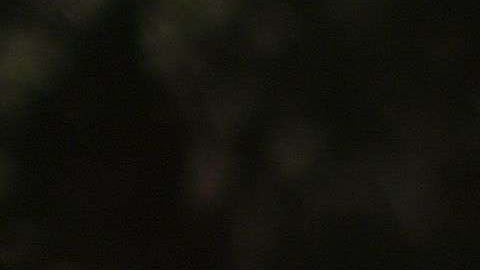 Activistas han aumentado las acciones contra el racismo