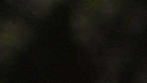 Activistas han aumentado las acciones contra el racismo.