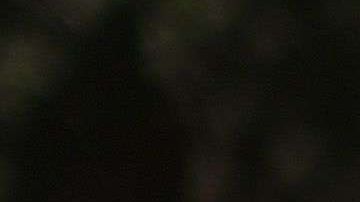 Activistas han aumentado las acciones contra el racismo.