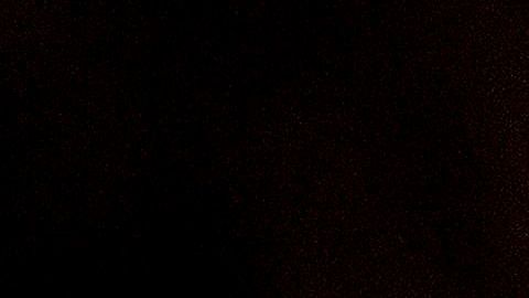 Trump dio la bienvenida a nuevos  ciudadanos en una ceremonia organizada en  Halloween.