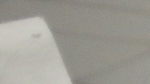 ICE ha sido criticada por activistas por arrestos en medio de la crisis por coronavirus.