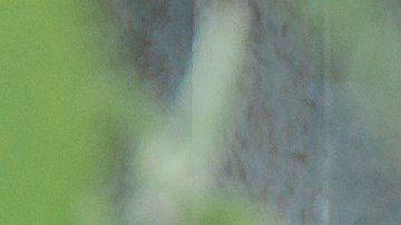 Aleja la envidia de tus amistades con estos sencillos pasos.