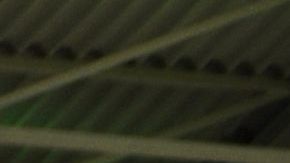 Las figuras de cartón asemejan al público real.