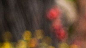 Un gúgol es un 1 seguido de 100 ceros y es el término que inspiró el nombre del buscador Google.