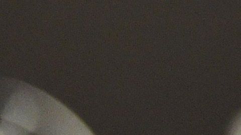 ilie natase quinto matrimonio