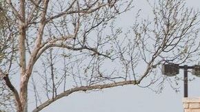 El tiroteo de este miércoles en la base naval Fort Hood, en Texas, remitió a la masacre reportada en la estructura militar en 2009.