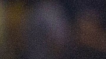 Herrera y La Volpe se enfrentarán este viernes cuando el América visite a Xolos.