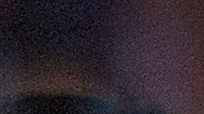 Almeyda y Pizarro se convirtieron en referentes de Chivas.