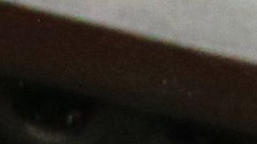 Norma fue campeona con Chivas.