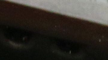 Norma fue campeona con Chivas.