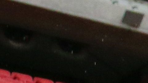 Norma fue campeona con Chivas.