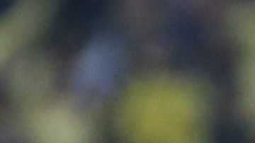 América ganó el primer Mundial de Clubes virtual de golazos.