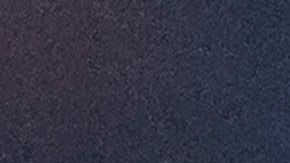 Pizarro fue campeón con Chivas en el Clausura 2017.