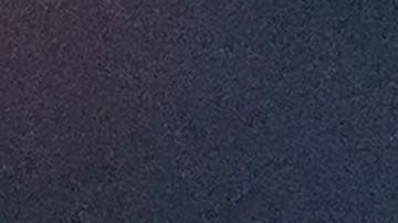 Pizarro fue campeón con Chivas en el Clausura 2017.