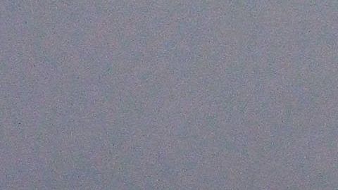 Palafox tiene un gran número de seguidores.