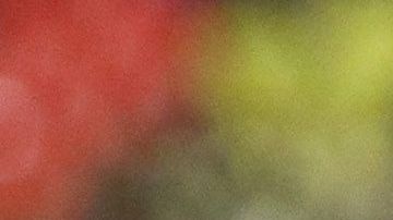 Miguel Herrera cumplió 600 partidos dirigiendo en la Liga MX.