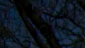 El elenco de "Imperio de Mentiras" reunido el primer día de grabaciones.