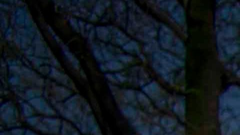 El elenco de "Imperio de Mentiras" reunido el primer día de grabaciones.