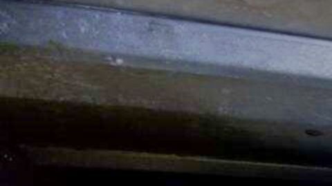 indocumentados en tráiler