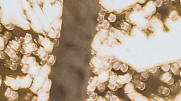 Ve a Bali con tu pareja / Créditos: Fotógrafo iJuba vía Getty