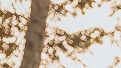 Ve a Bali con tu pareja / Créditos: Fotógrafo iJuba vía Getty