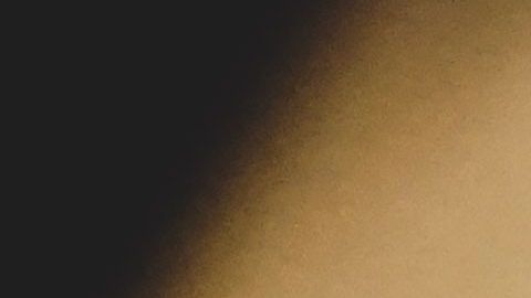 En tiempos de contingencia, deja el uso de los elevadores para las personas que más lo necesiten.