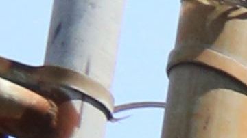 Mural en memoria de "Junior" Guzman Feliz en el barrio Belmont, El Bronx