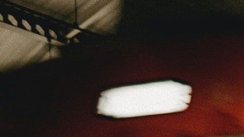 El amor puede estar más cerca de lo que pensabas.