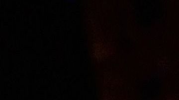 Conoce los elementos que no pueden faltar en tu altar.