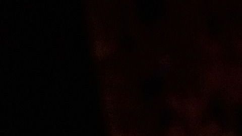 Conoce los elementos que no pueden faltar en tu altar.