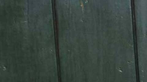 Pablo Lyle está acusado de homicidio involuntario.