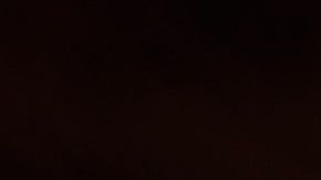 Una tradición en NYC