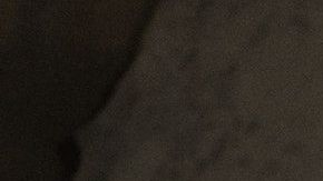 Hay signos que prefieren los encuentros casuales.